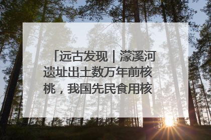 远古发现｜濛溪河遗址出土数万年前核桃，我国先民食用核桃历史大幅提前