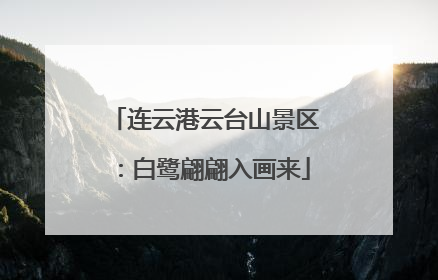 连云港云台山景区：白鹭翩翩入画来