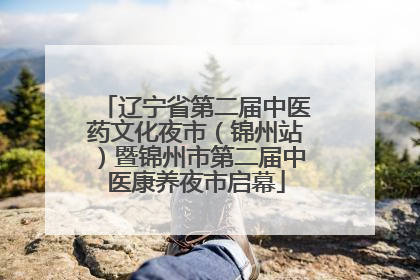 辽宁省第二届中医药文化夜市（锦州站）暨锦州市第二届中医康养夜市启幕