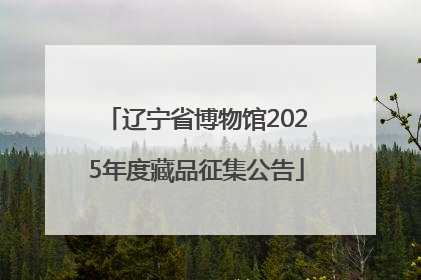 辽宁省博物馆2025年度藏品征集公告