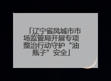 辽宁省凤城市市场监管局开展专项整治行动守护“油瓶子”安全