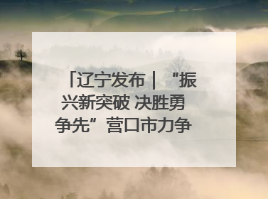 辽宁发布｜“振兴新突破 决胜勇争先”营口市力争上半年GDP增长6%左右