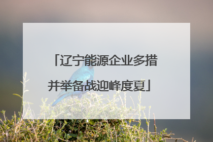 辽宁能源企业多措并举备战迎峰度夏