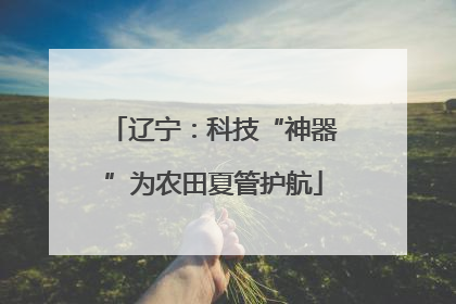 辽宁：科技“神器”为农田夏管护航