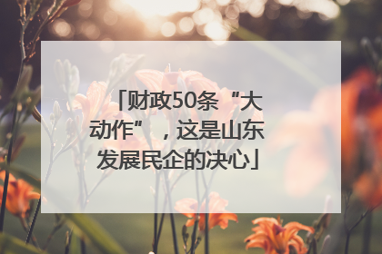 财政50条“大动作”，这是山东发展民企的决心