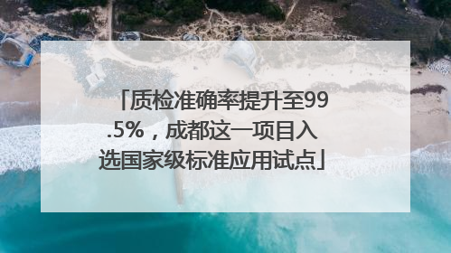 质检准确率提升至99.5%，成都这一项目入选国家级标准应用试点