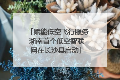 赋能低空飞行服务 湖南首个低空智联网在长沙县启动