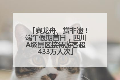 赛龙舟、赏非遗！端午假期首日，四川A级景区接待游客超433万人次