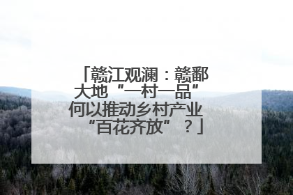 赣江观澜：赣鄱大地“一村一品”何以推动乡村产业“百花齐放”？