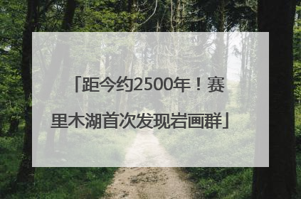 距今约2500年！赛里木湖首次发现岩画群