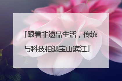 跟着非遗品生活，传统与科技相遇宝山滨江