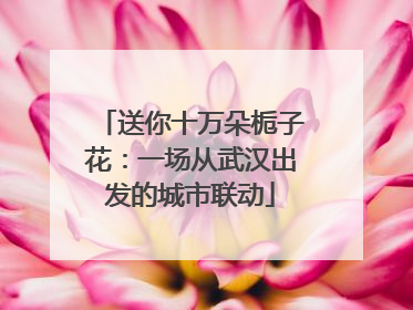 送你十万朵栀子花：一场从武汉出发的城市联动