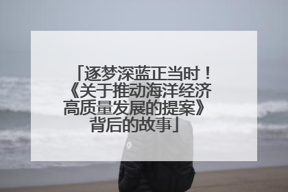 逐梦深蓝正当时！《关于推动海洋经济高质量发展的提案》背后的故事