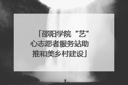 邵阳学院“艺”心志愿者服务站助推和美乡村建设