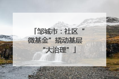 邹城市：社区“微基金”撬动基层“大治理”