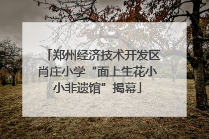 郑州经济技术开发区肖庄小学“面上生花小小非遗馆”揭幕