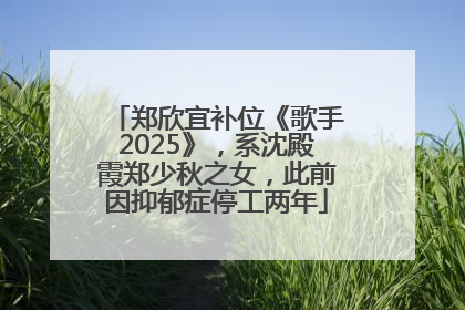 郑欣宜补位《歌手2025》，系沈殿霞郑少秋之女，此前因抑郁症停工两年
