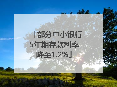 部分中小银行5年期存款利率降至1.2%