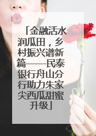 金融活水润瓜田，乡村振兴谱新篇——民泰银行舟山分行助力朱家尖西瓜甜蜜升级