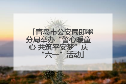 青岛市公安局即墨分局举办“警心暖童心 共筑平安梦”庆“六一”活动