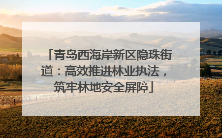 青岛西海岸新区隐珠街道：高效推进林业执法，筑牢林地安全屏障