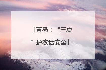 青岛：“三夏”护农话安全