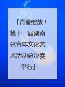 青春绽放！第十一届湖南省青年文化艺术活动总决赛举行