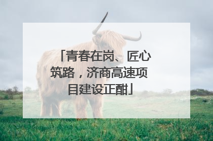 青春在岗、匠心筑路，济商高速项目建设正酣