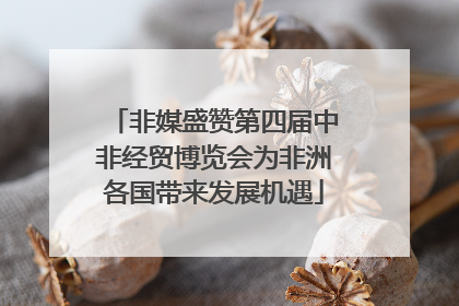 非媒盛赞第四届中非经贸博览会为非洲各国带来发展机遇