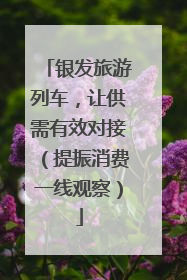 银发旅游列车，让供需有效对接（提振消费一线观察）