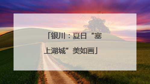 银川：夏日“塞上湖城”美如画