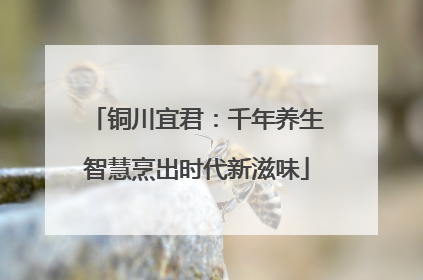铜川宜君：千年养生智慧烹出时代新滋味