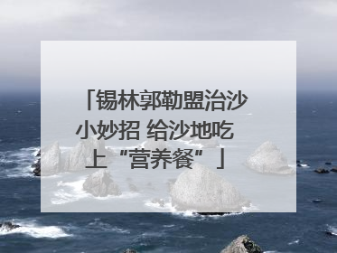 锡林郭勒盟治沙小妙招 给沙地吃上“营养餐”
