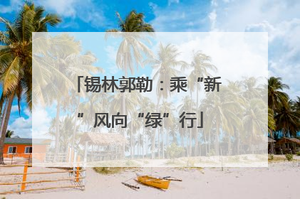 锡林郭勒：乘“新”风向“绿”行