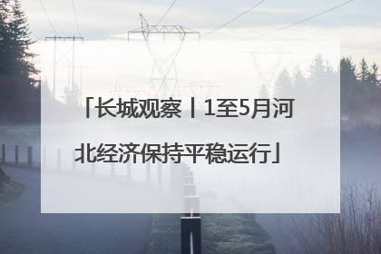 长城观察丨1至5月河北经济保持平稳运行