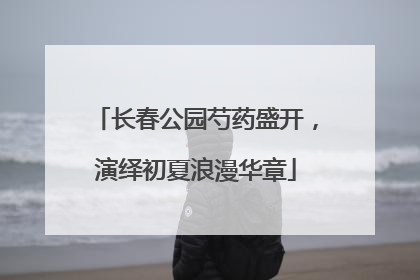 长春公园芍药盛开，演绎初夏浪漫华章