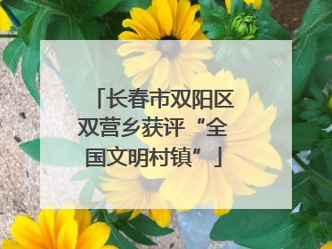长春市双阳区双营乡获评“全国文明村镇”