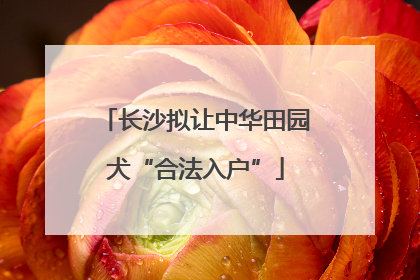 长沙拟让中华田园犬“合法入户”