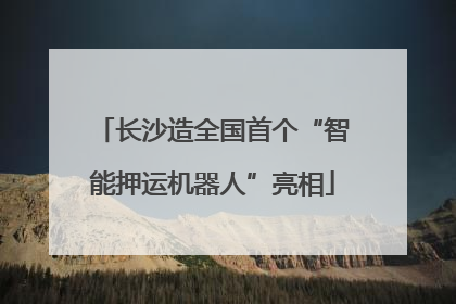 长沙造全国首个“智能押运机器人”亮相
