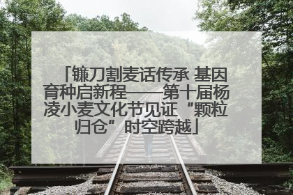 镰刀割麦话传承 基因育种启新程——第十届杨凌小麦文化节见证“颗粒归仓”时空跨越