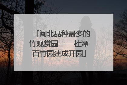 闽北品种最多的竹观赏园——杜潭百竹园建成开园
