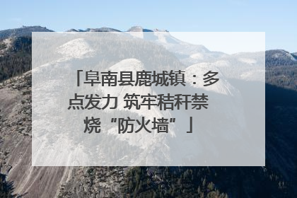 阜南县鹿城镇：多点发力 筑牢秸秆禁烧“防火墙”