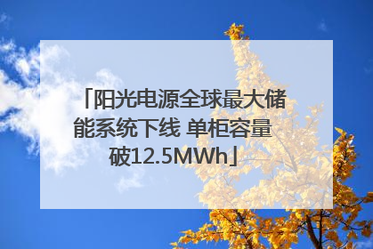 阳光电源全球最大储能系统下线 单柜容量破12.5MWh