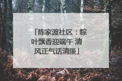 陈家渡社区：粽叶飘香迎端午 清风正气话清廉