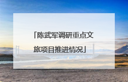 陈武军调研重点文旅项目推进情况