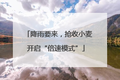 降雨要来，抢收小麦开启“倍速模式”