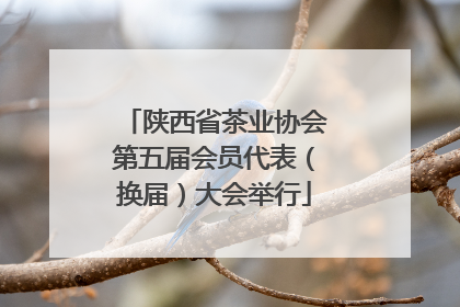 陕西省茶业协会第五届会员代表（换届）大会举行