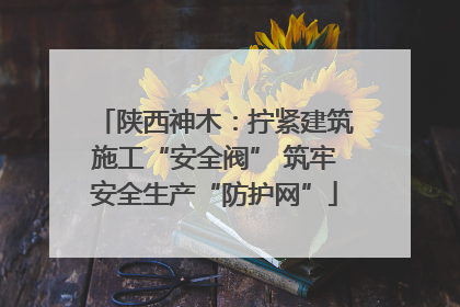 陕西神木：拧紧建筑施工“安全阀” 筑牢安全生产“防护网”