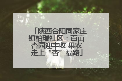 陕西合阳同家庄镇柏瑞社区：百亩杏园迎丰收 果农走上“杏”福路