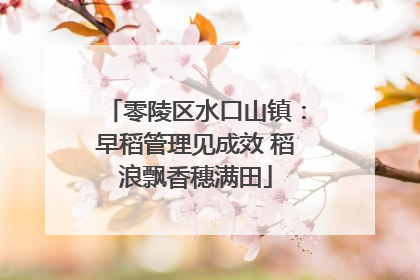 零陵区水口山镇：早稻管理见成效 稻浪飘香穗满田